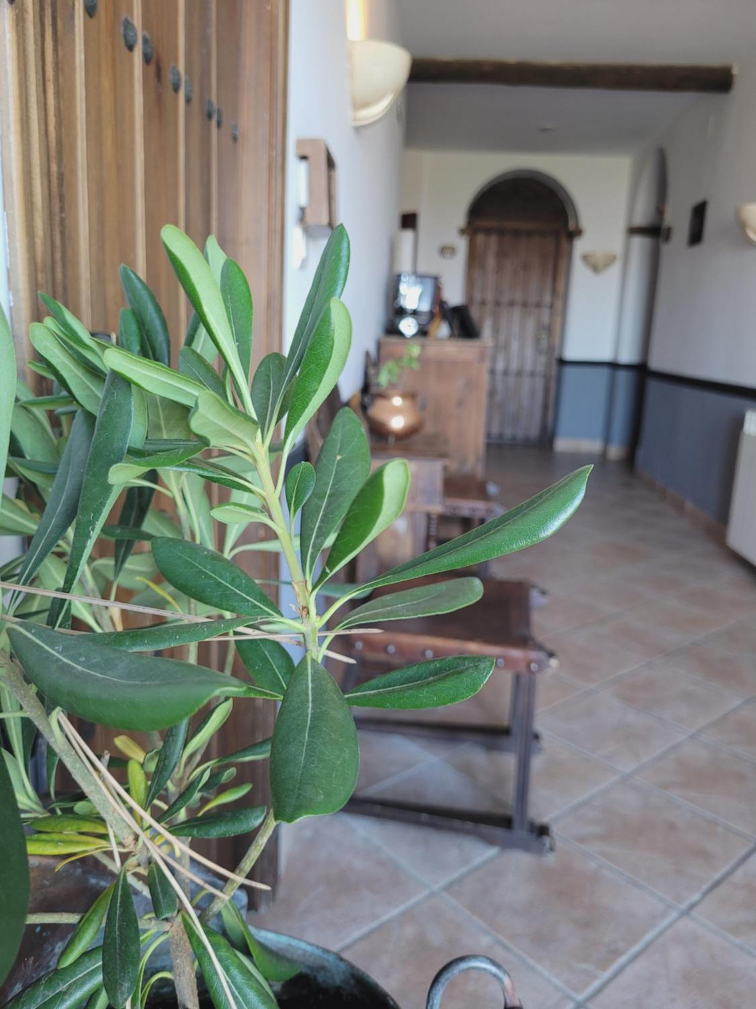 Hotel El Balcon De Las Nieves 라 수비아 외부 사진