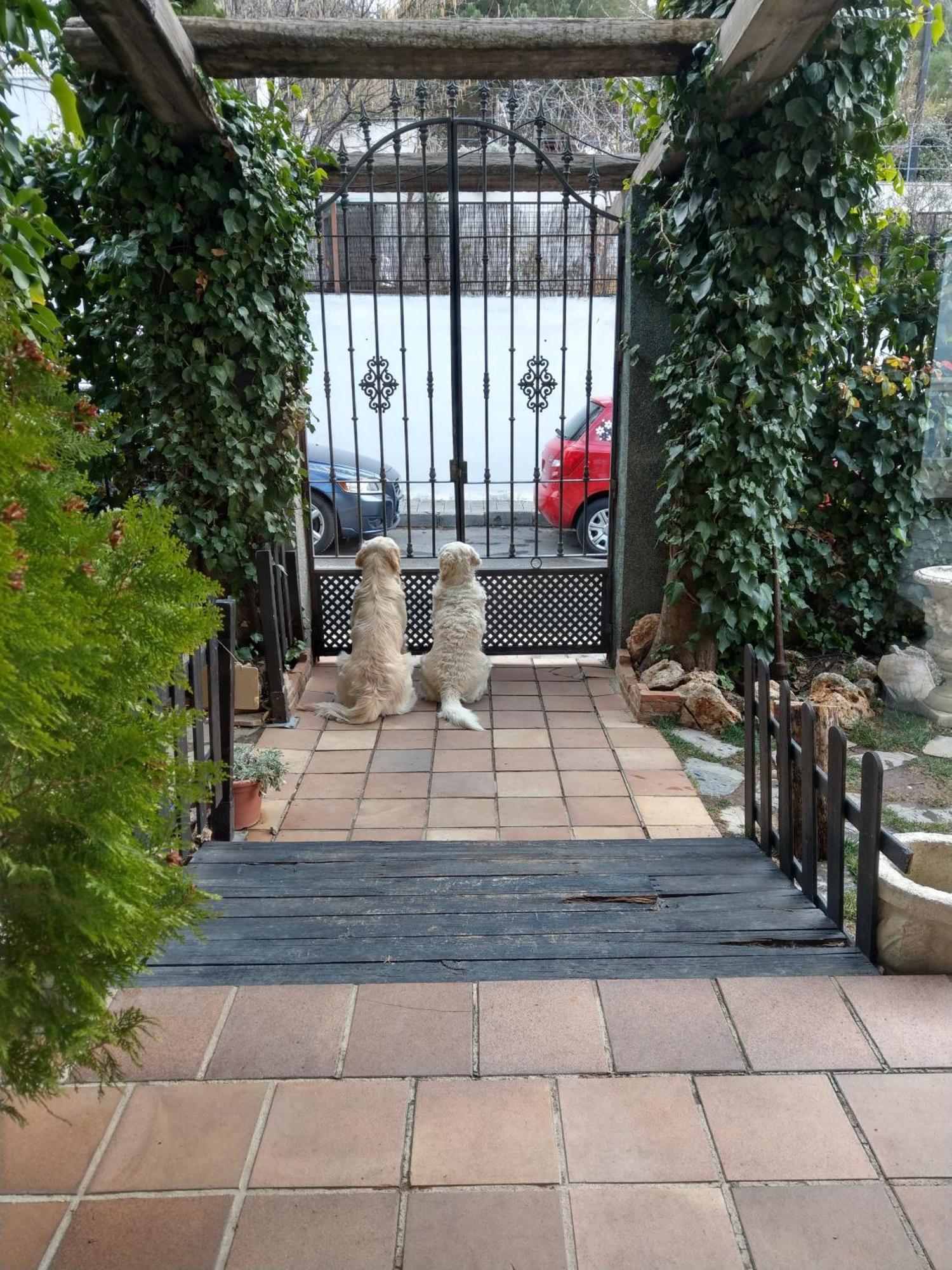 Hotel El Balcon De Las Nieves 라 수비아 외부 사진
