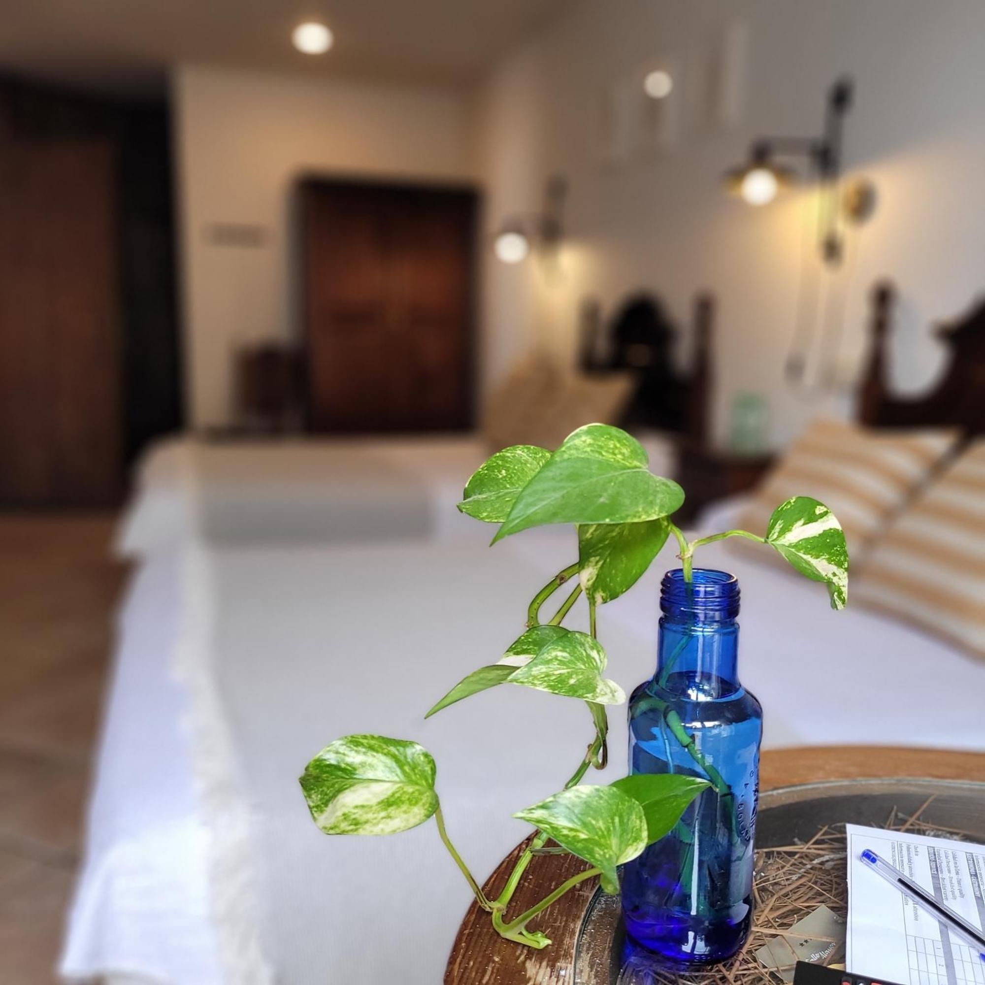 Hotel El Balcon De Las Nieves 라 수비아 외부 사진